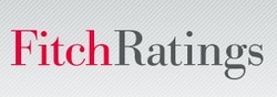    www.fitchratings.com