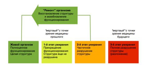    www.strf.ru