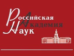    www.polit.ru